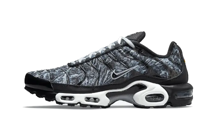 Nike Air Max Plus Dark Smoke Grey - DO6384-001