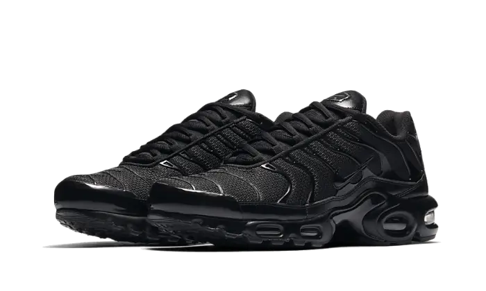 Nike Air Max Plus Triple Black - 604133-050