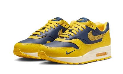 Nike Air Max 1 CO.JP Michigan